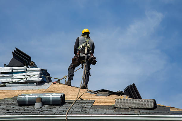 Professional Roofing technician working in St Columbans, NE